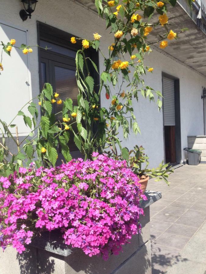 La Magnolia Apartment Ricco del Golfo di Spezia Ngoại thất bức ảnh