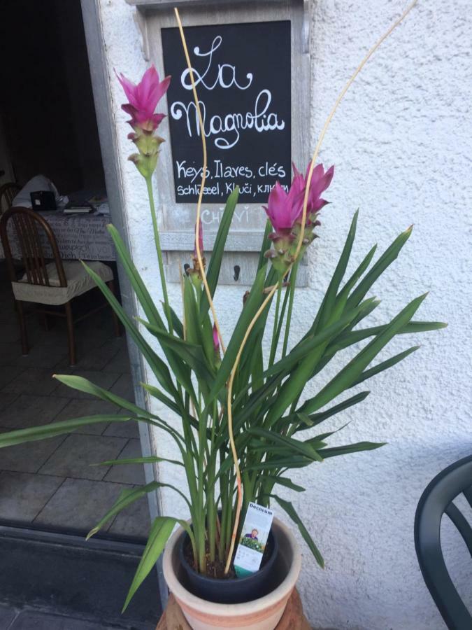 La Magnolia Apartment Ricco del Golfo di Spezia Ngoại thất bức ảnh
